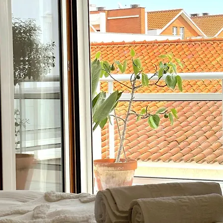 Boutique W Sea View And Private Rooftop Terace Apartamento Nazaré