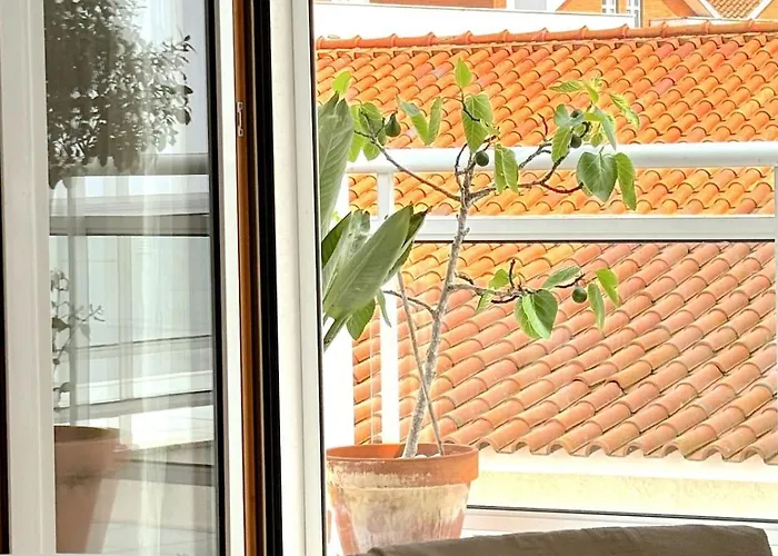 Boutique W Sea View And Private Rooftop Terace Apartmán Nazaré